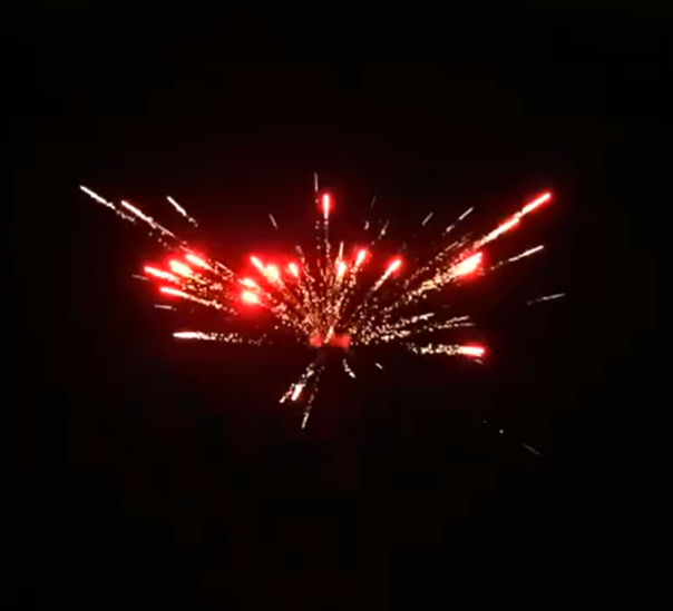 Римская Свеча "Август" 8 залпов