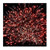 СС8305 Красная жара (1,2" х 100) фото 10