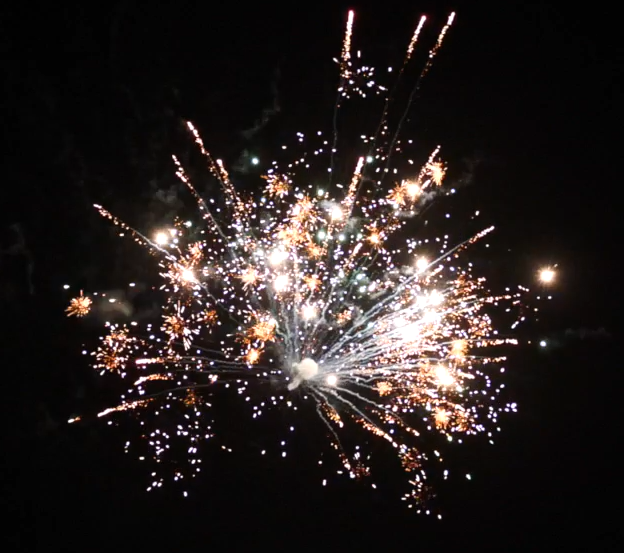 SF-399 ROMAN CANDLE (2" х 8) фото 5